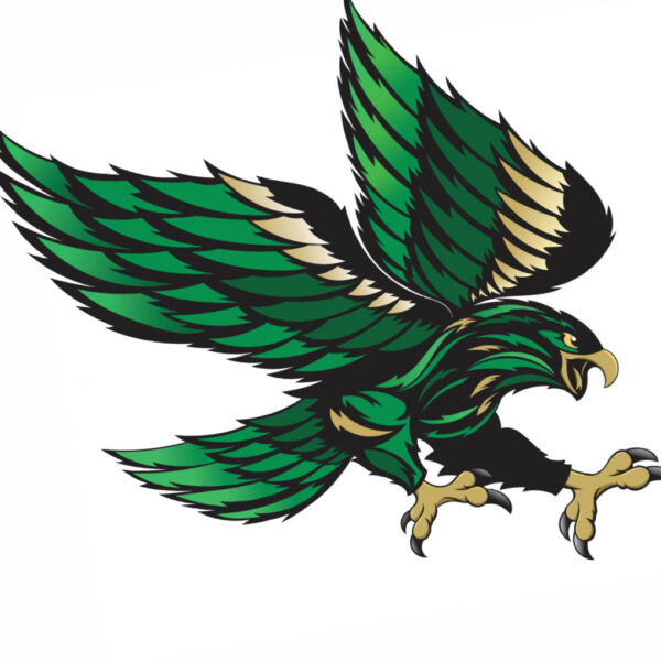 Lake County Falcons Logo